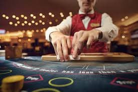 Antarmuka ccnnslot yang user-friendly menampilkan kategori sepak bola, live dealer, dan slot dalam satu dashboard